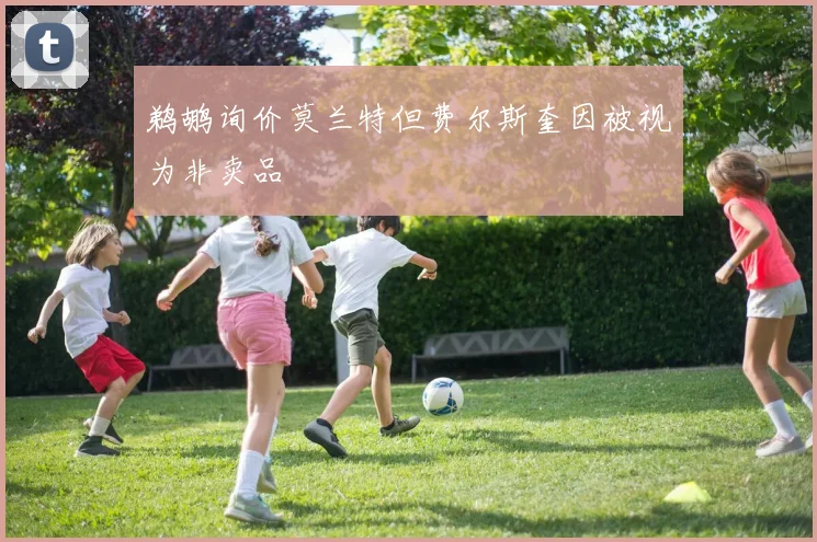 鹈鹕询价莫兰特但费尔斯奎因被视为非卖品