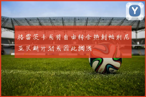 格雷茨卡或将自由转会热刺帕利尼亚买断计划或因此搁浅
