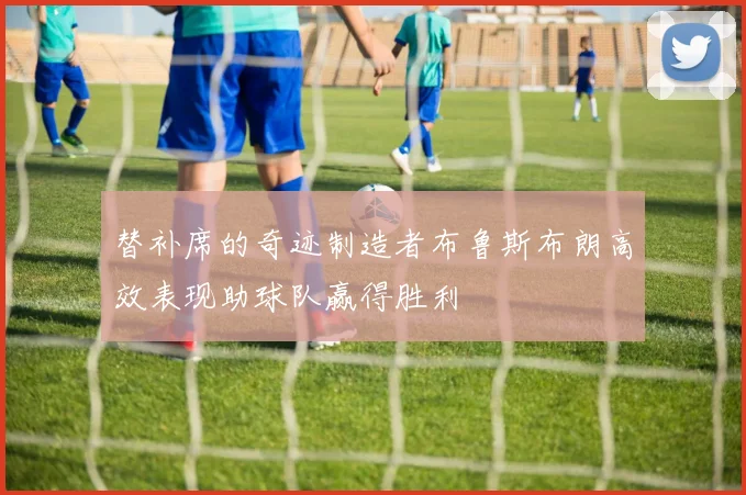替补席的奇迹制造者布鲁斯布朗高效表现助球队赢得胜利