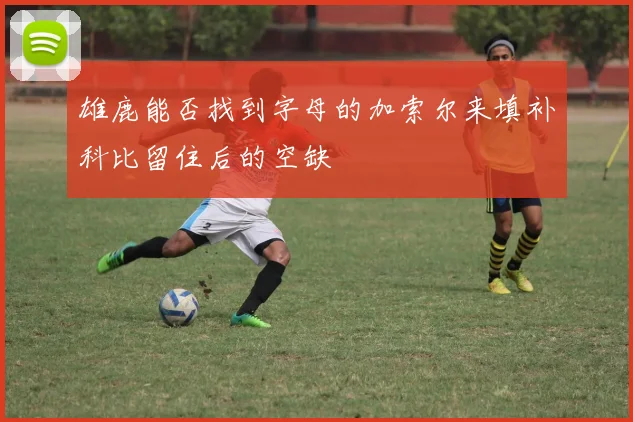 雄鹿能否找到字母的加索尔来填补科比留住后的空缺